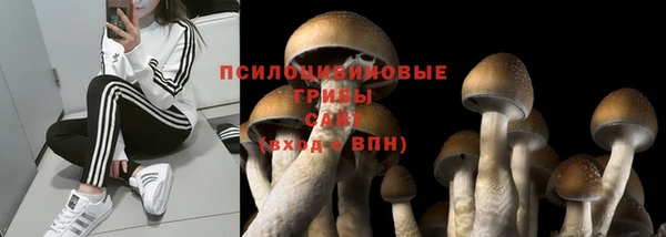 сатива Алексин
