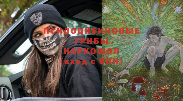 сатива Алексин